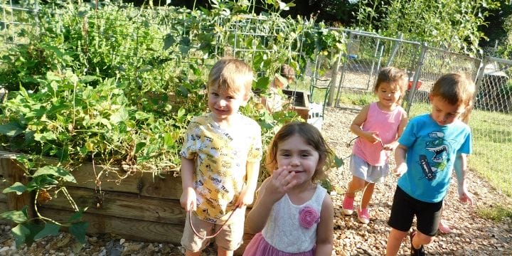 Starting a school garden can be such a game-changer for children’s education, but where does the funding come from? Check out these grants for school gardens to see if your program is eligible.