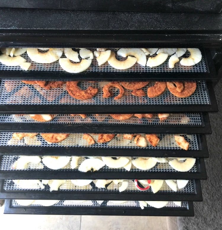 food in a dehydrator