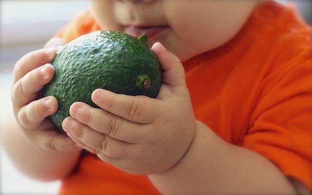 A baby holding an avocado