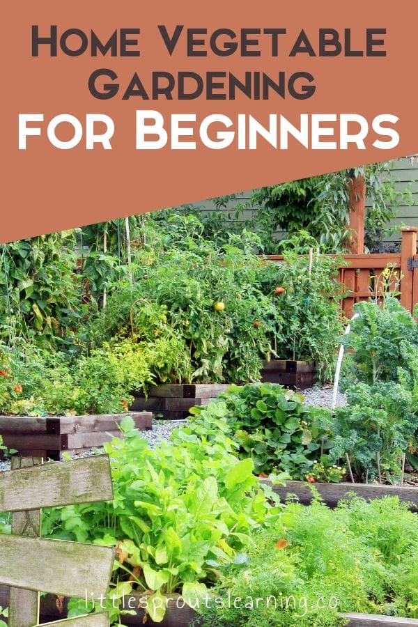 Garden raised beds full of beautiful fruits and vegetables.