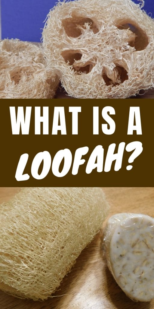 Loofahs and a bar of oatmeal soap on a table