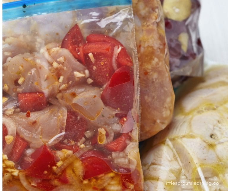 There's nothing better than being able to get dinner on the table in a snap. Check out these easy freezer meals you can pop out for a quick dinner.