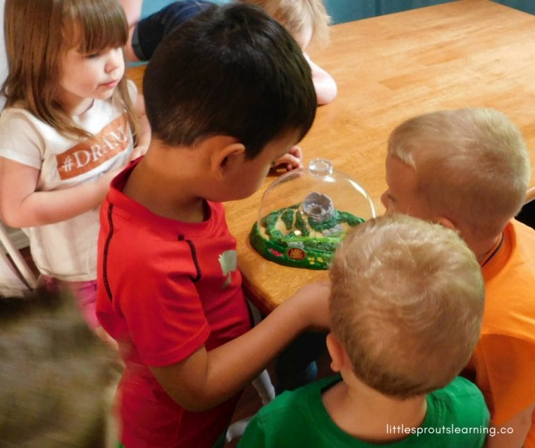 Are your kids enamored with ladybugs? Mine sure are. We love learning everything we can about these beautiful insects. Check out these ladybug facts for kids to learn.