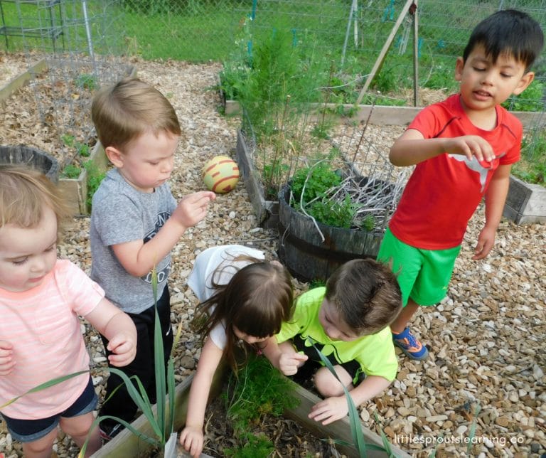 children playing with ladybugs in the garden
