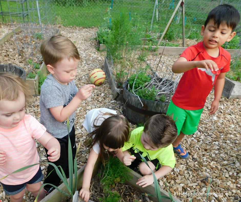 children playing with ladybugs in the garden