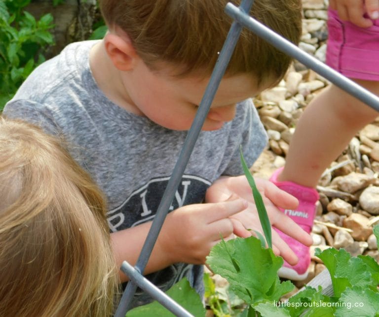 Is daycare good for children? There is a whole lot of good going on in childcare. Quality childcare can have amazing benefits for child development.