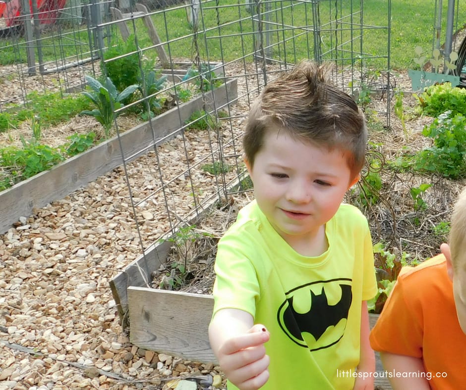 child observing a ladybug in their hand