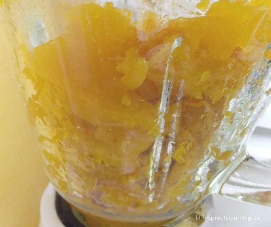 roasted pumpkin in blender