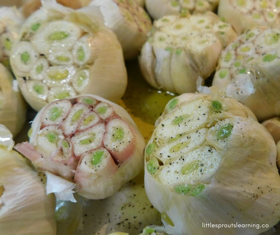 Garlic heads cut and sprinkled with salt, pepper, and olive oil