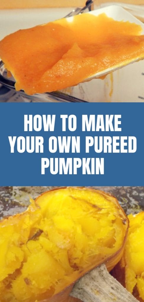 Baked pumpkin fresh from the oven and fresh pumpkin puree coming out of the blender.