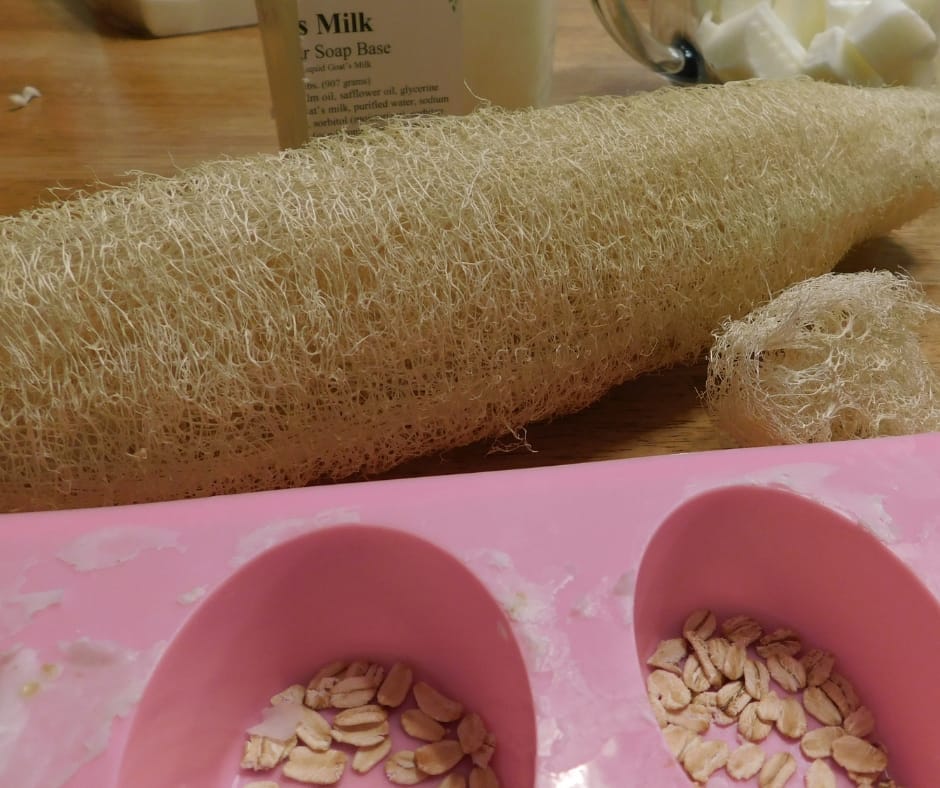 oatmeal sprinkled in the bottom of soap molds with luffa behind