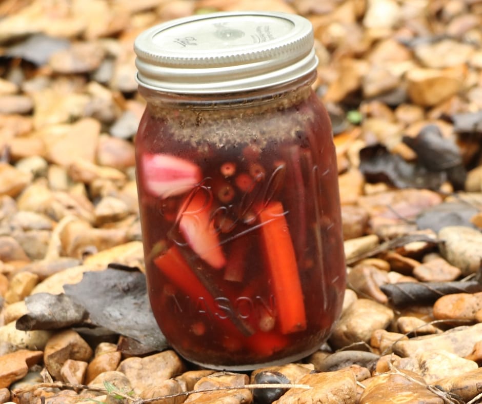 refrigerator pickled dilly beans after a few weeks in the fridge, purple beans have turned the pickling liquid red.