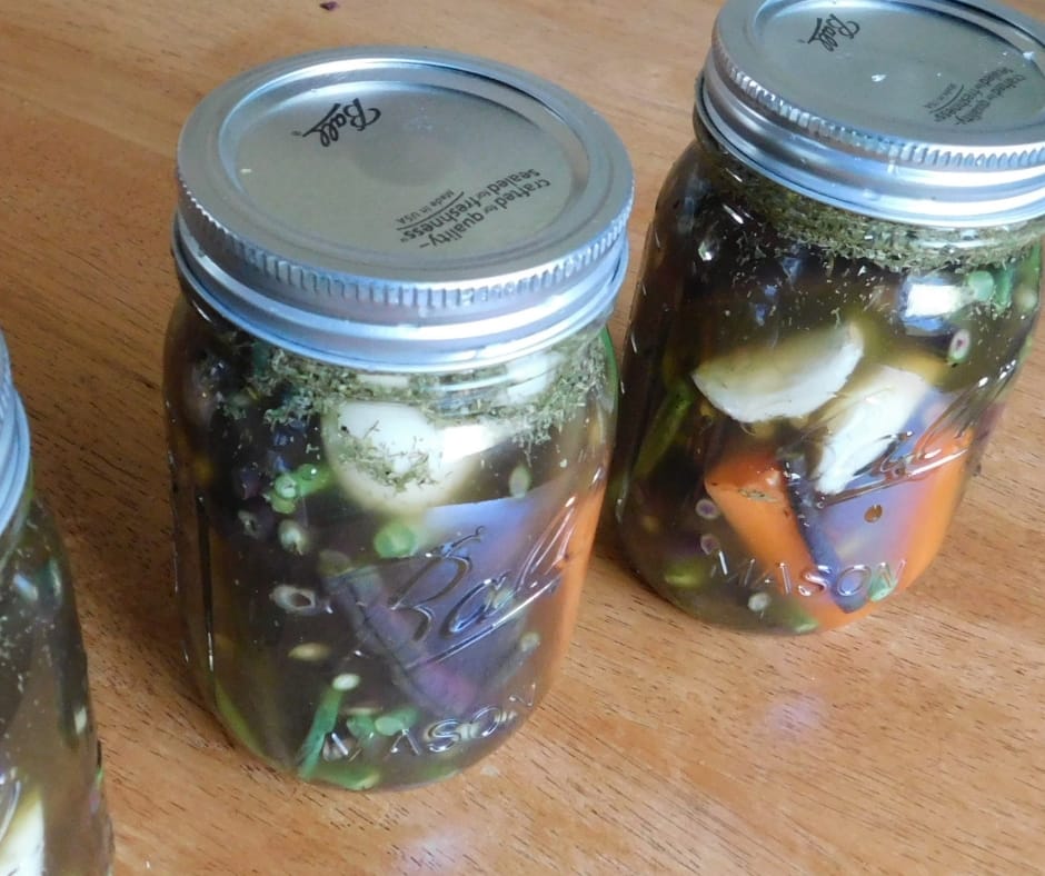 Have you heard of pickling green beans? They are delicious and very easy to make. Make your own refrigerator dilly beans in just a few minutes without canning.