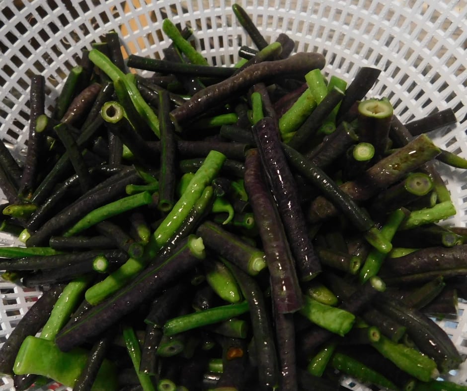 blanched green beans draining in a colandar