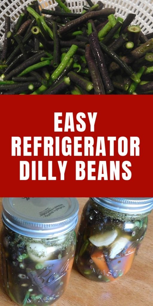 green beans in a collander and dilly beans in a jar.