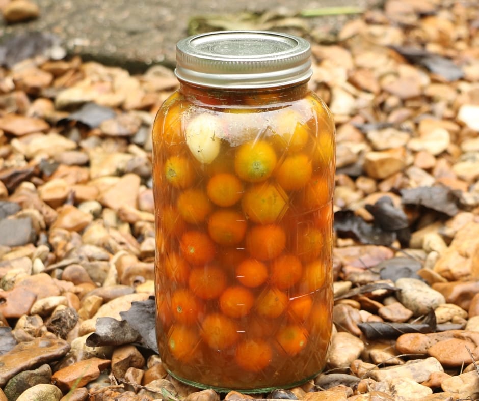Did you know you can pickle tomatoes in the refrigerator? It's super easy and these refrigerator pickled cherry tomatoes are delicious.
