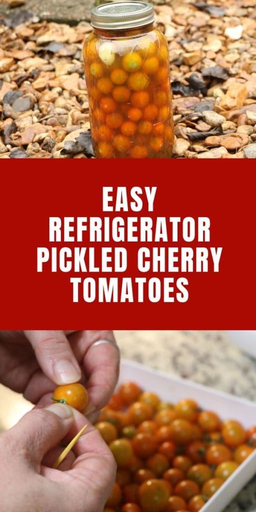 hands holding cherry tomatoes and a toothpick for poking holes in them to make refrigerator pickled cherry tomatoes.