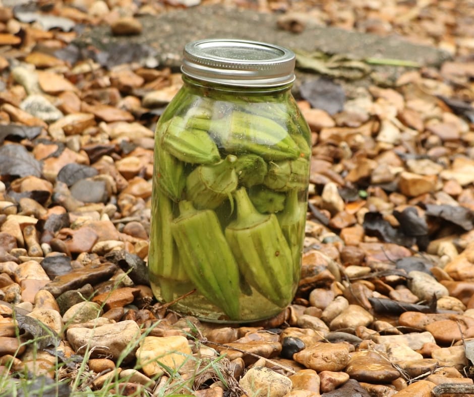 jar of refrigerator pickled okra sitting in some rocks