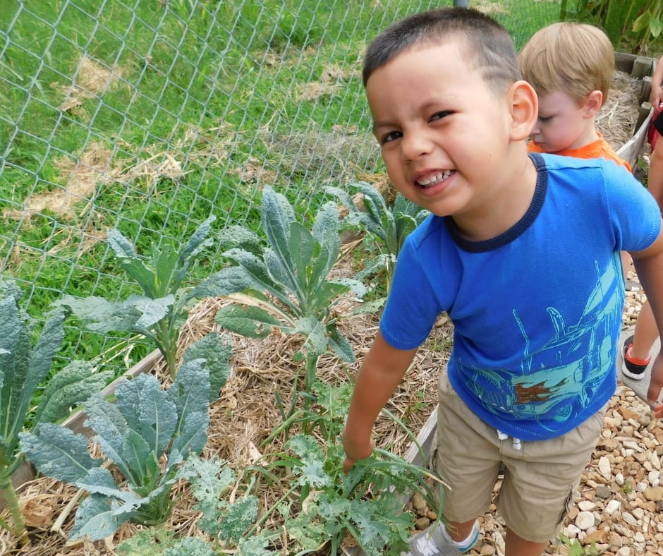 Have you ever thought of growing food with young children, but you don't know how? Check out these tips and steps for how to start a preschool garden. 