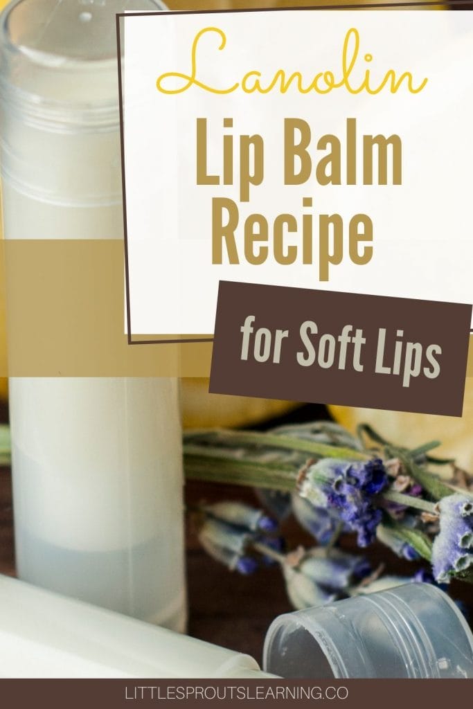 Lanolin lip balm in tubes on the counter with some sprigs of lavender