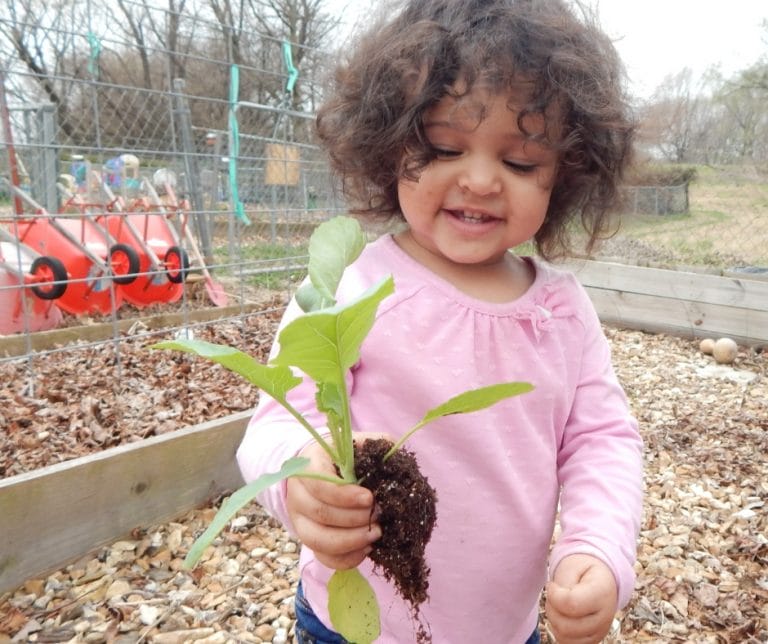 child holding seedling, what to do in the garden in may, What are the easiest plants for kids to grow? There are a few things that grow fast or are foolproof for the children's garden (and yours).