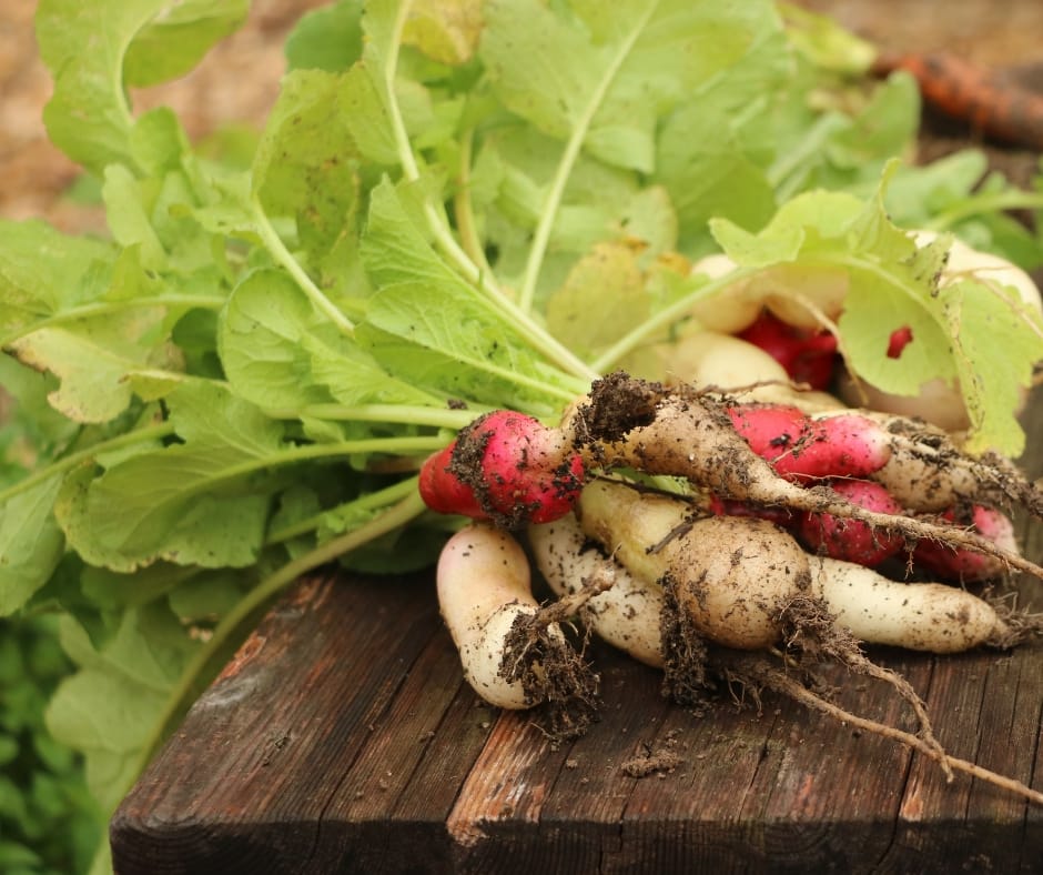 In zone 7 the garden is really picking up in May. Find out more about what needs to be done in the garden during this time of year.
