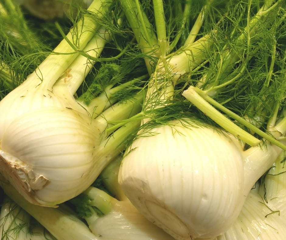 pile of fennel bulbs 