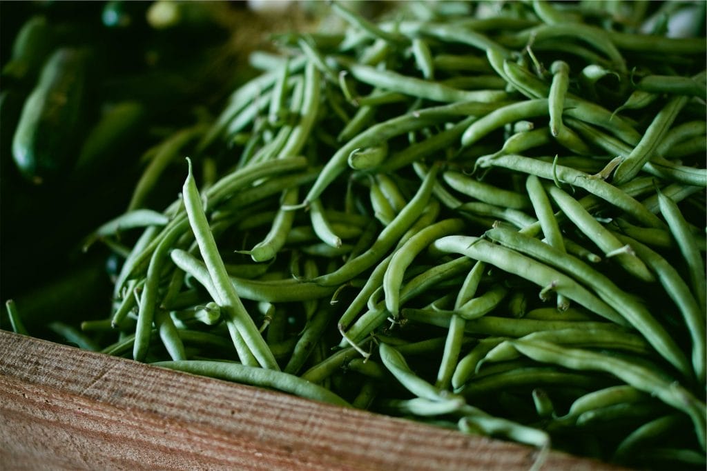 Box overflowing with fresh picked green beans from the garden