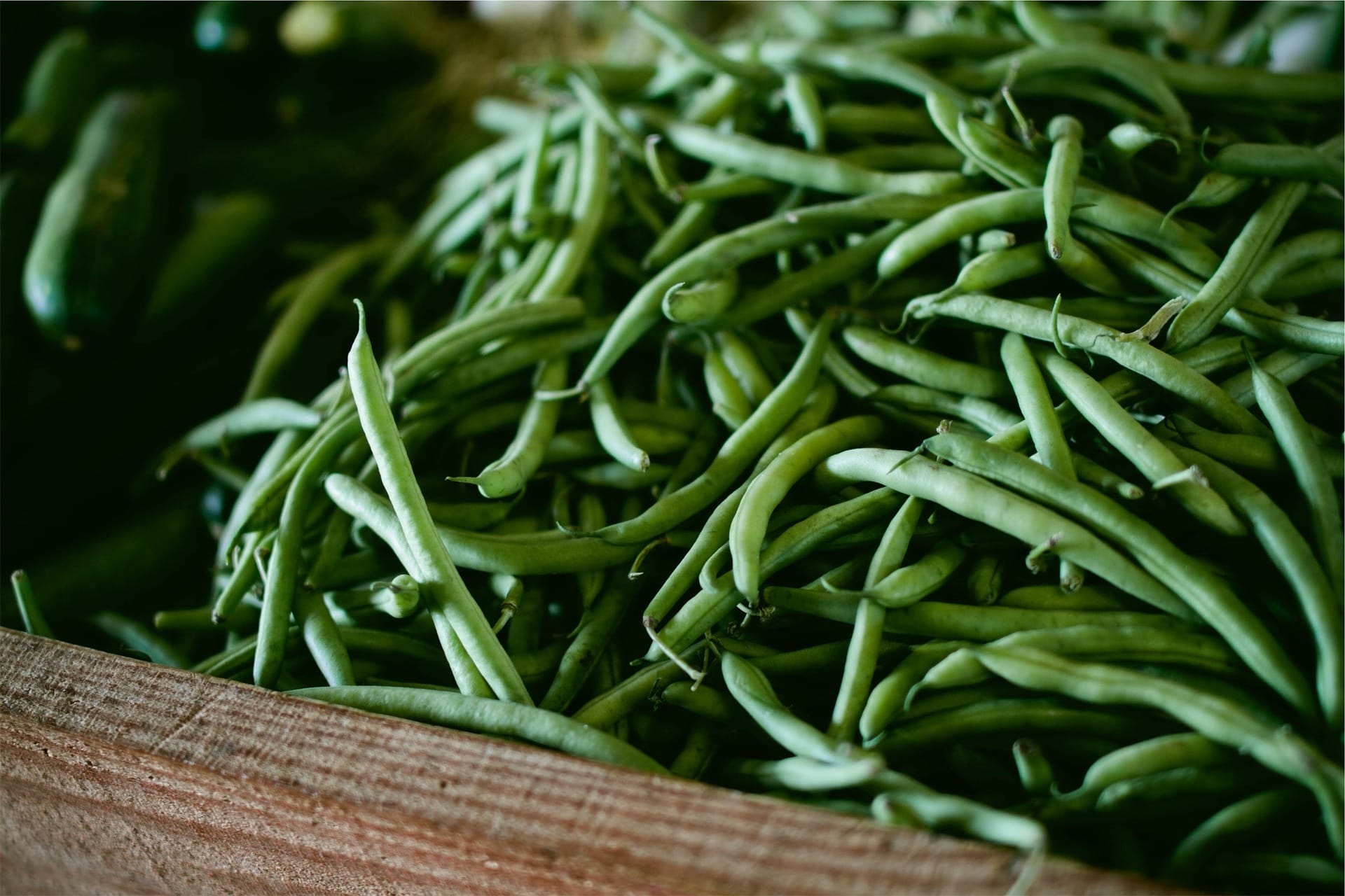 Sometimes the garden can bless us with too much of a good thing. Having excess green beans all at once can be overwhelming, but there are a ton of great things you can do with them.