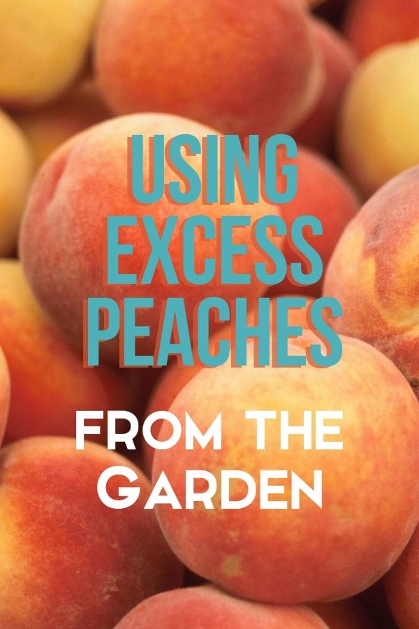 pile of fresh peaches