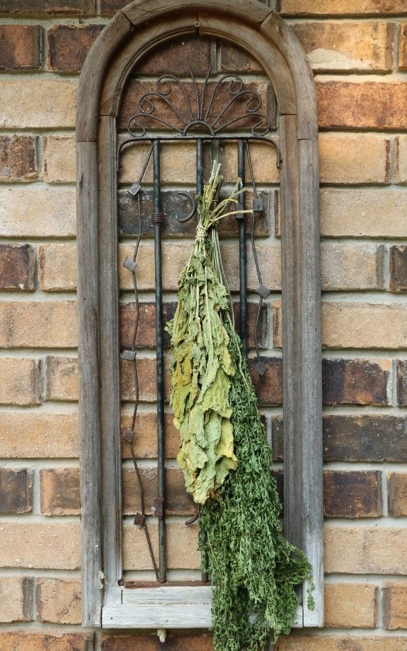 greens drying on rack outside