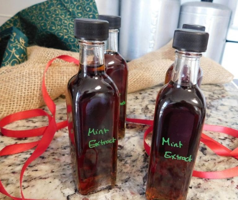 Making your own mint extract is a lot easier than you think and the results are far better than anything you can get from the store.