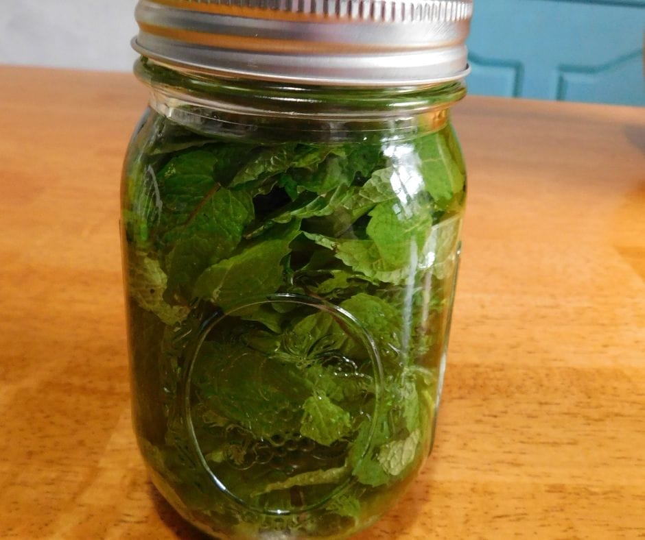 jar of mint and vodka on the table