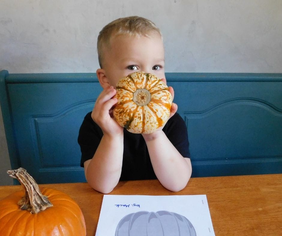 Are you ready to explore pumpkins with your kids, but don’t want to do a bunch of worksheets or pumpkin crafts? Check out these pumpkin activities for kids.