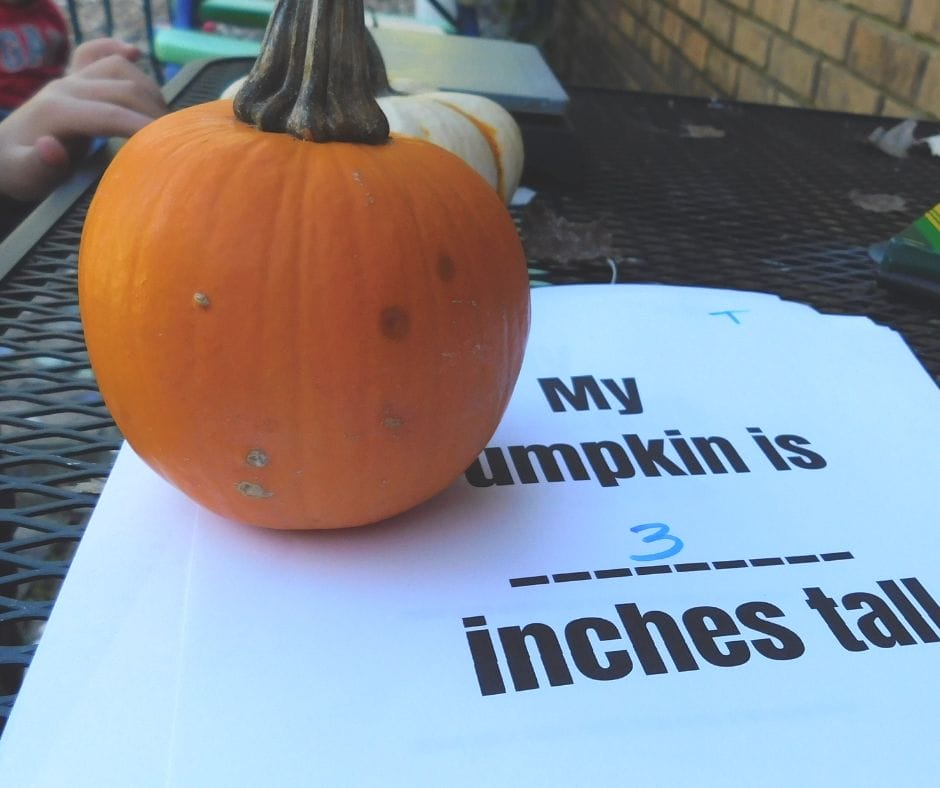 pumpkin on a book on the table