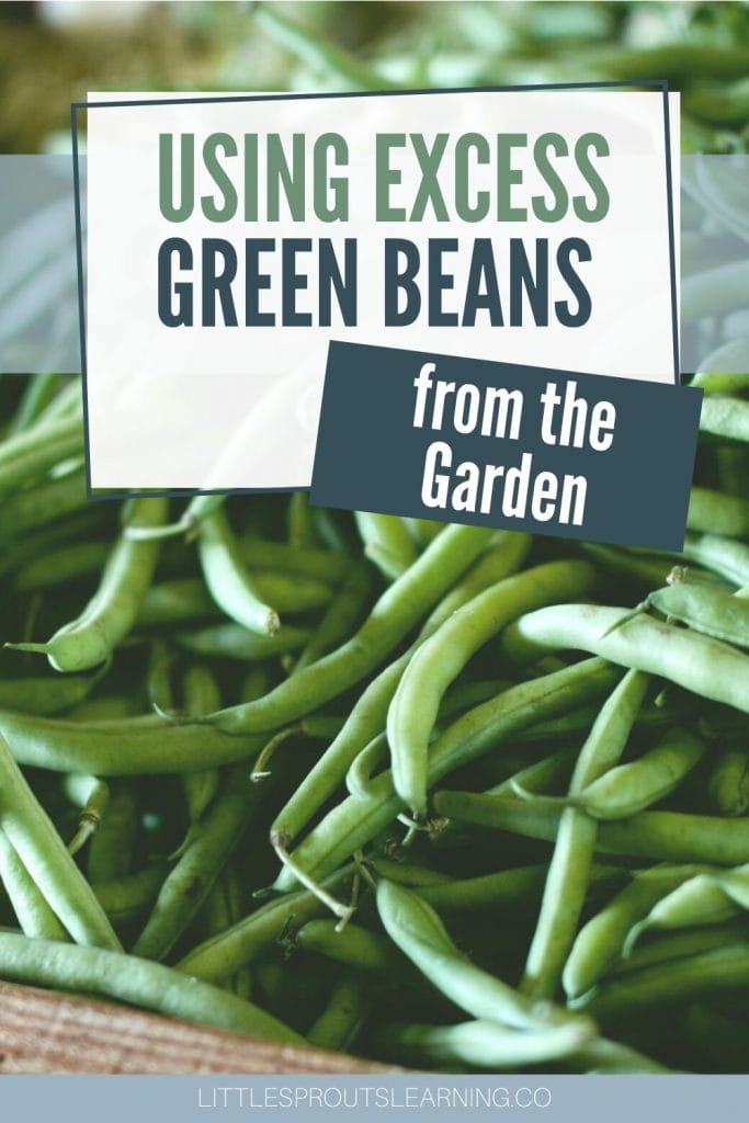 big pile of fresh green beans