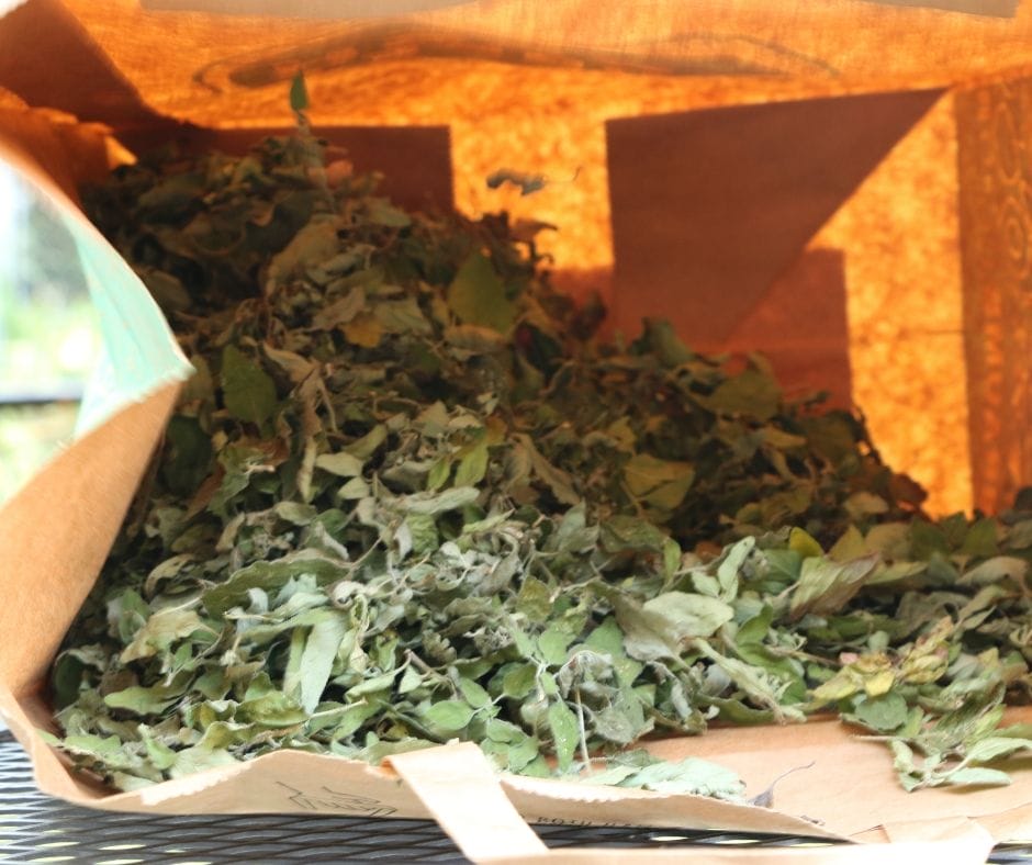 paper sack full of drying herbs