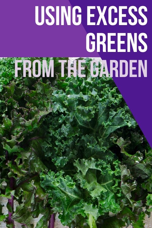 Sometimes the garden puts out more excess greens than you can handle at once. Check out these creative ways to use them and save them for later.