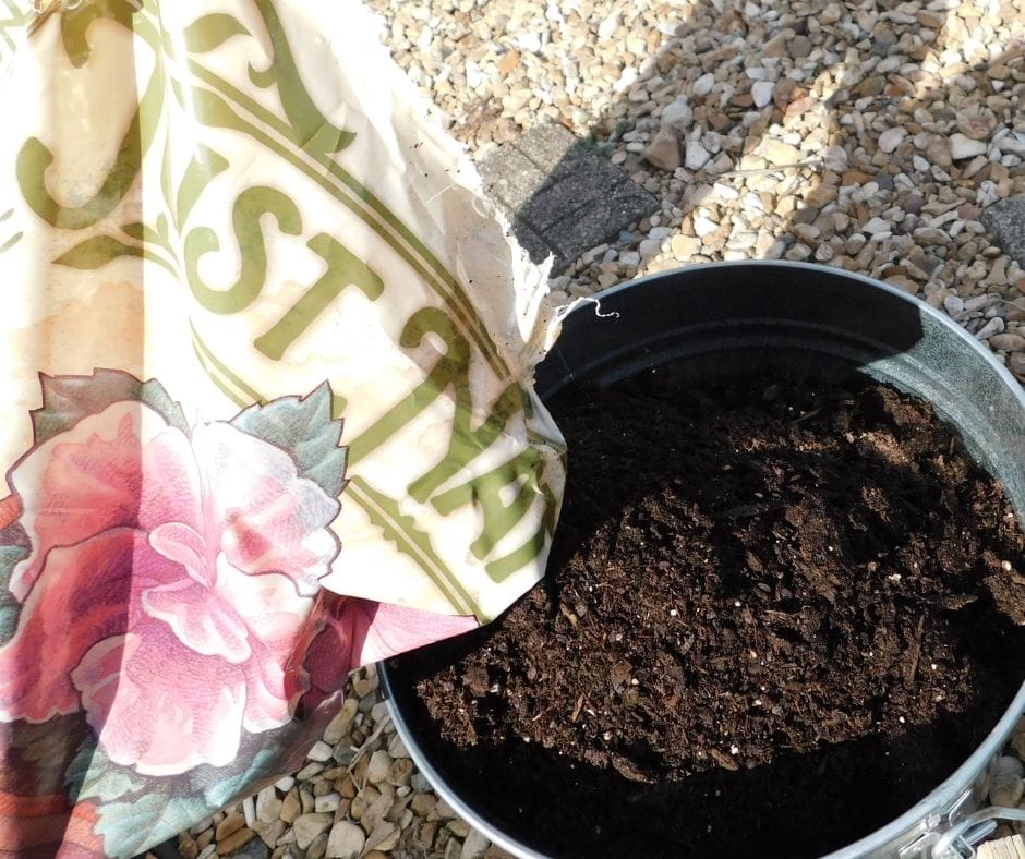 bag of potting soil being poured into a metal bucket garden