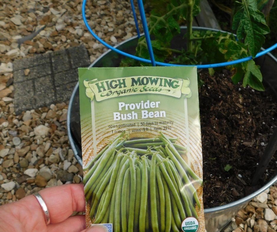 packet of provider bush beans in front of bucket garden ready for planting