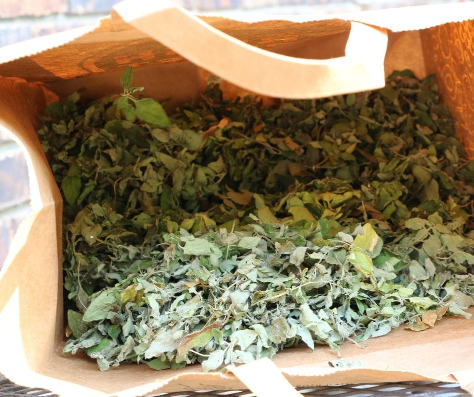 paper sack full of herb leaves drying for italian seasoning mix