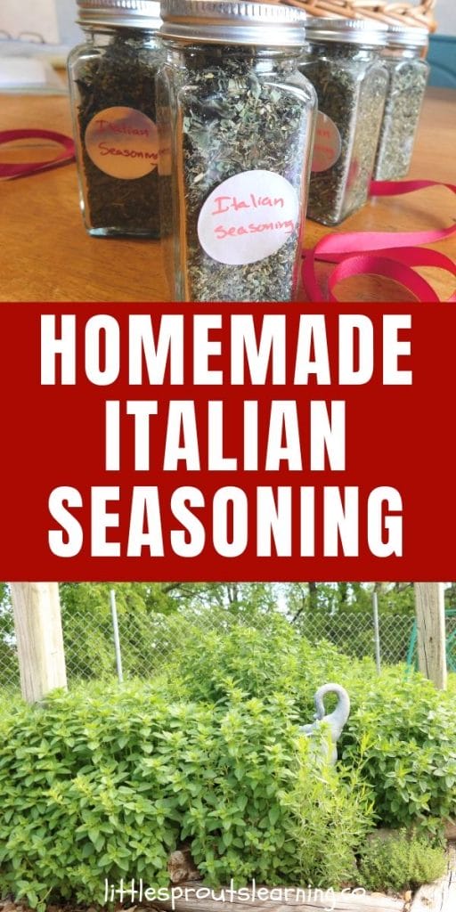 Herb tower in the garden and spice jars full of homemade italian seasoning with red ribbons