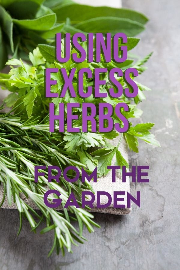 Cut bundles of herbs on burlap on the counter.
