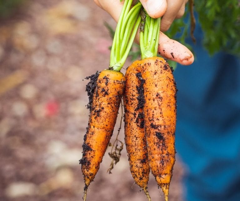 Do you think everything will stay the same as it is now? Are there some self-sufficiency skills you could learn that would make your life better today?
