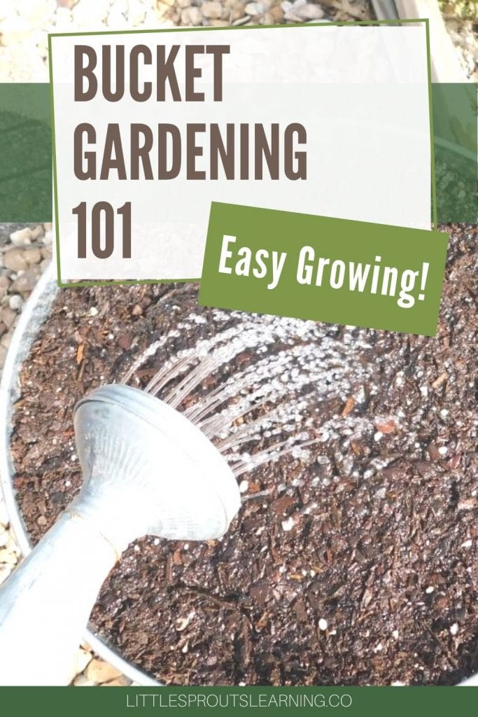Soil in a bucket being watered with a watering can
