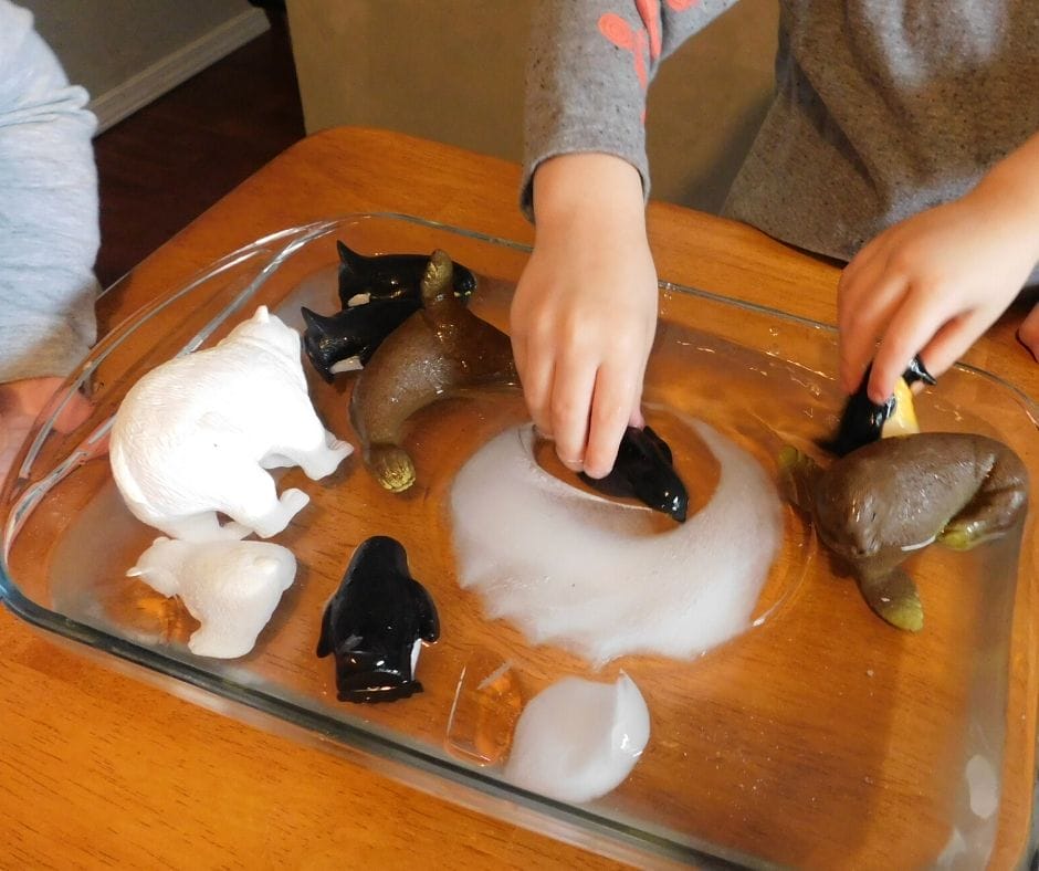 Learning about how polar animals survive in the severe cold is so interesting and fun. My kids have learned so much from these polar animals activities.