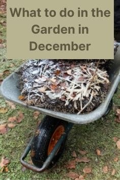 Wheelbarrow full of compost materials for the garden