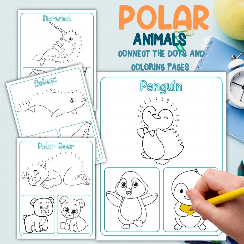 polar animal dot to dots with a person holding a pencil