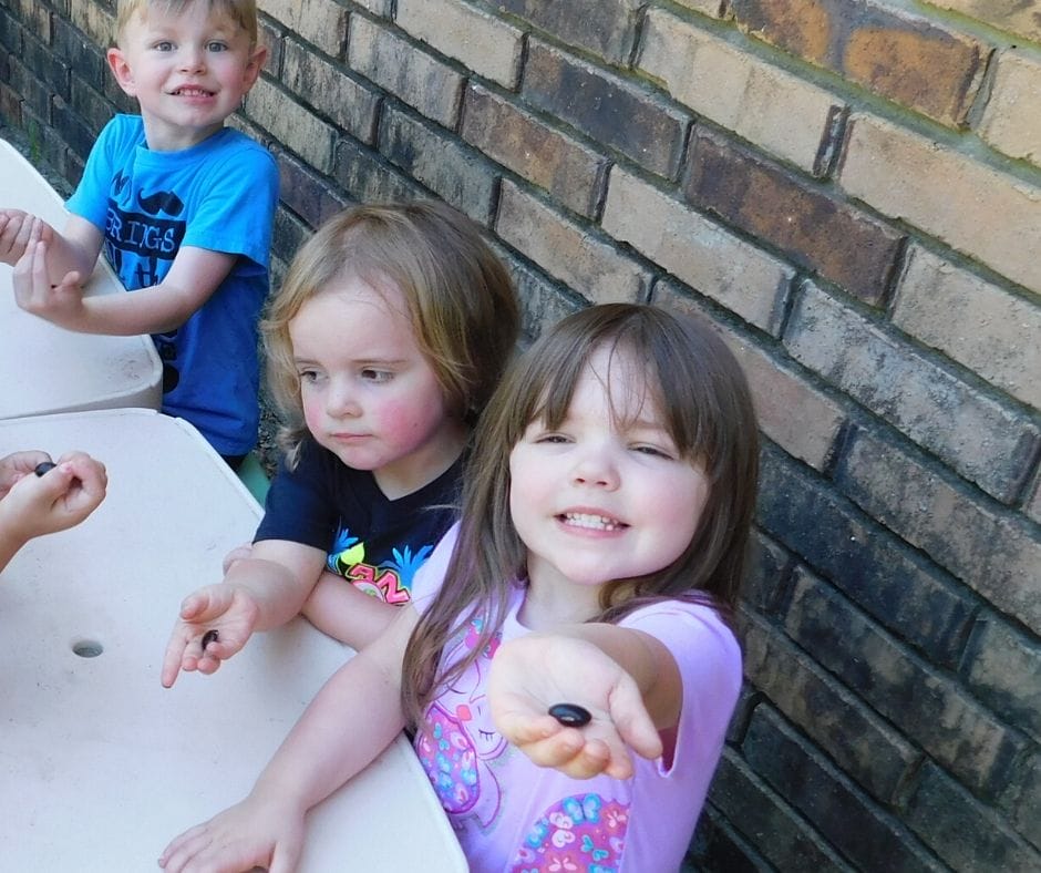 kids exploring seeds in the garden