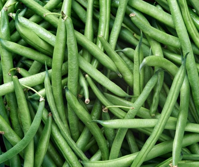 Growing pole and bush green beans can be one of the most rewarding gardening experiences. They are easy to grow, have few pests and taste amazing!